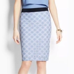 Ann Taylor Blue & White Striped Eyelet Skirt
